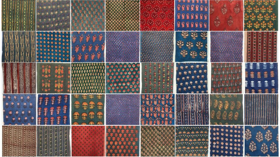 Threads of Identity: Botany, Community, And The Living Language Of Rajasthani Textiles